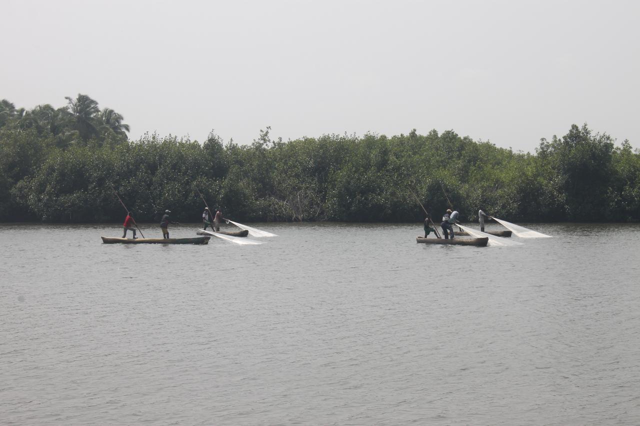Natura Luxury Lodge Ouidah Exteriér fotografie